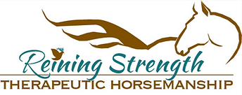 Reining Strength Therapeutic Horsemanship Cheyenne Construction Group Sugar Land TX